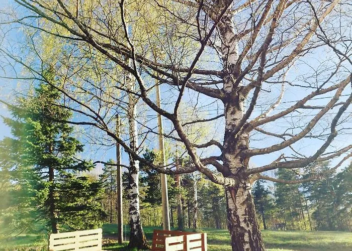 Tripkovic Divčibare