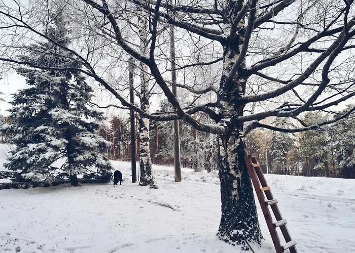 Tripkovic * Divčibare