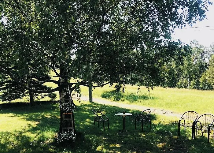 Tripkovic アパート *